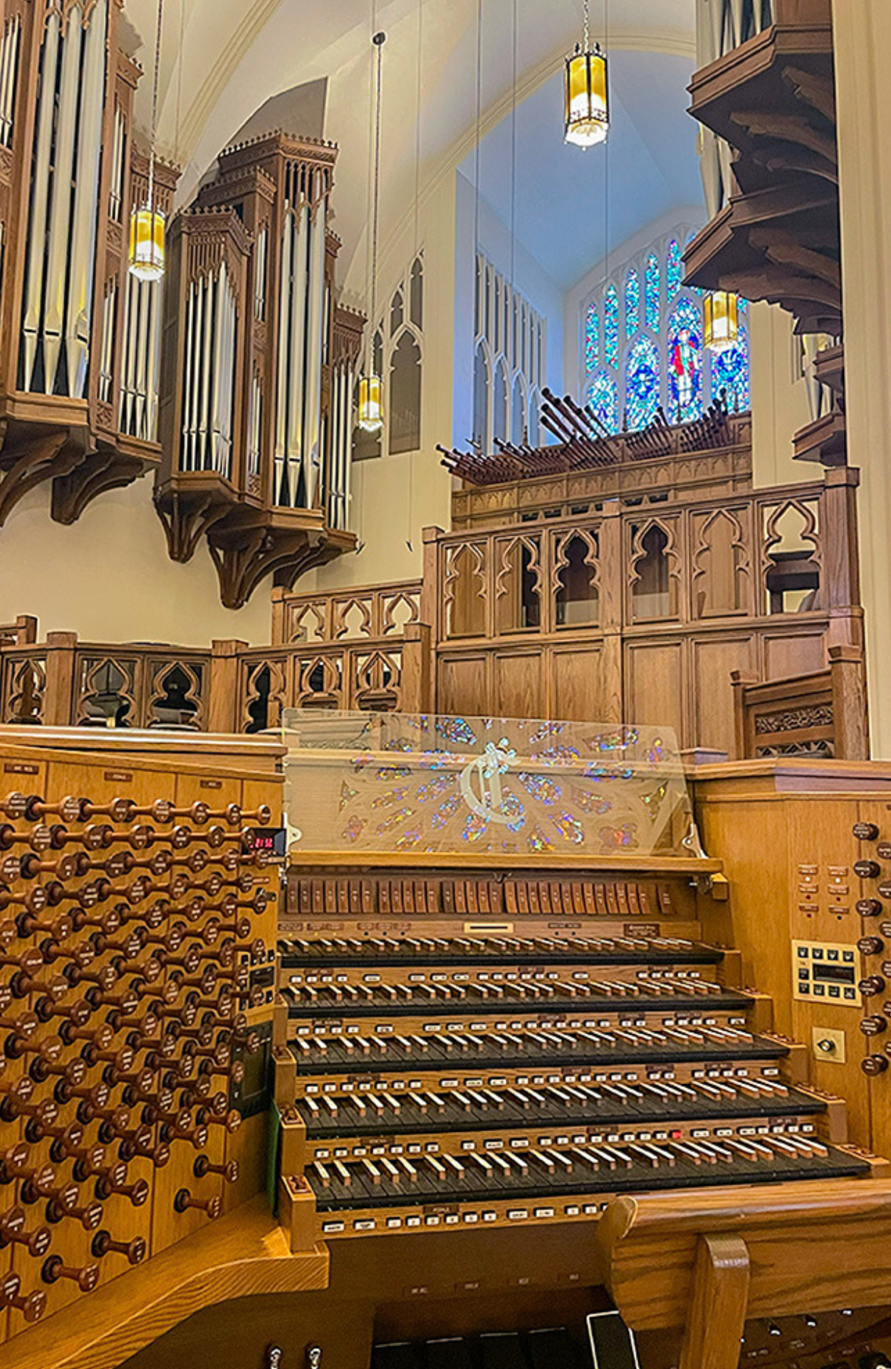 Organ